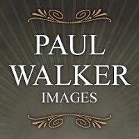 Paul Walker Images FBIPP FMPA FRPS 1088547 Image 9